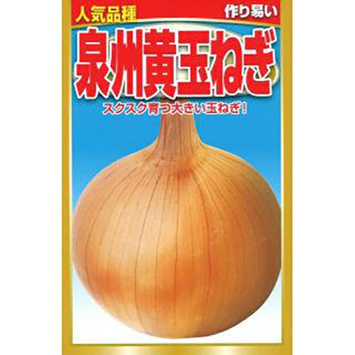 玉ねぎ 種 【 泉州黄玉ねぎ 】 2dl ( 玉ねぎの種 ) | 農業屋.com
