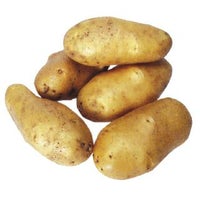 じゃがいも 種芋 【予約】 【 高級メークイン（メークィーン） 500g 入り】