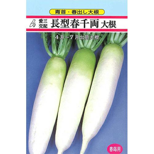 大根 | 農業屋.com
