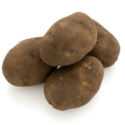 じゃがいも 種芋 【予約】 【 北海黄金(ほっかいこがね) 500g 入り】