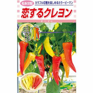 ピーマン 種 【 カラーピーマン　恋するクレヨン 】