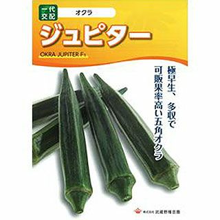 オクラ 種 【 ジュピター 】 1dl ( オクラの種 )