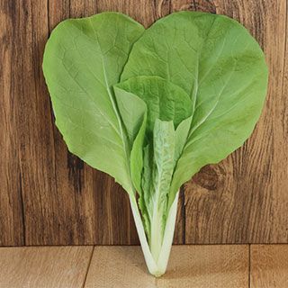 サントウサイ 種 【 灼熱サラダ菜っぱ 】 20ｍｌ　( 山東菜の種 )