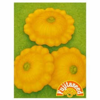 ズッキーニ 種 【 ＵＦＯズッキーニ　イエロー 】 小袋 ( ズッキーニの種 )