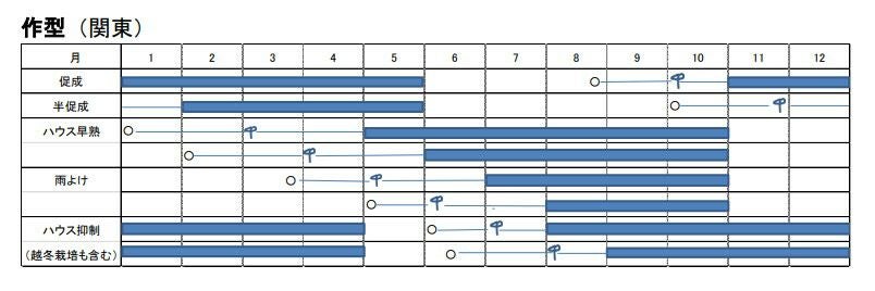 トマト 種 【 べにすずめ 】 小袋（12粒） ( トマトの種 )