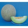 メロン 種 【タカミ】 10粒