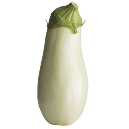 玉ねぎ苗 【予約】 【 早生 ソニック 】 約100本 [ たまねぎ苗