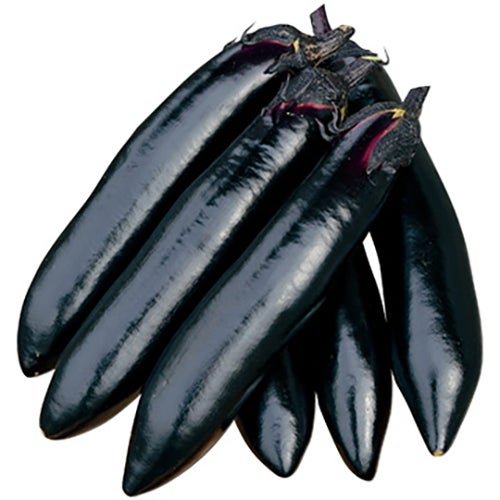 ナス苗 | 農業屋.com