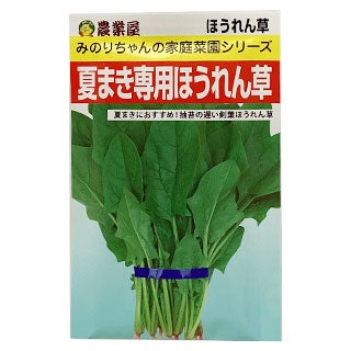 ほうれん草 種 【 夏まき専用ほうれん草 】 小袋 ( ほうれん草の種 )