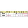 葉牡丹 種 【 ローブ　ホワイト 】 1000粒 （ ハボタンの種 ）