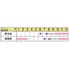  葉牡丹 種 【 ローブ　レッド 】 1000粒 （ ハボタンの種 ）