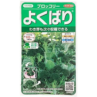  ブロッコリー 種 【 よくばり 】 実咲小袋