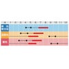 キンギョソウ 種 【 キャンディートップス ミックス 】 1000粒 ( キンギョソウの種 )