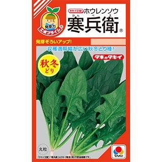 ホウレンソウ 種 【 寒兵衛 】 ＲＦ（40ｍｌ） エボプライム種子 ( ホウレンソウの種 )