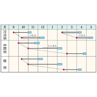 ホウレンソウ 種 【 寒兵衛 】 ＲＦ（40ｍｌ） エボプライム種子 ( ホウレンソウの種 )